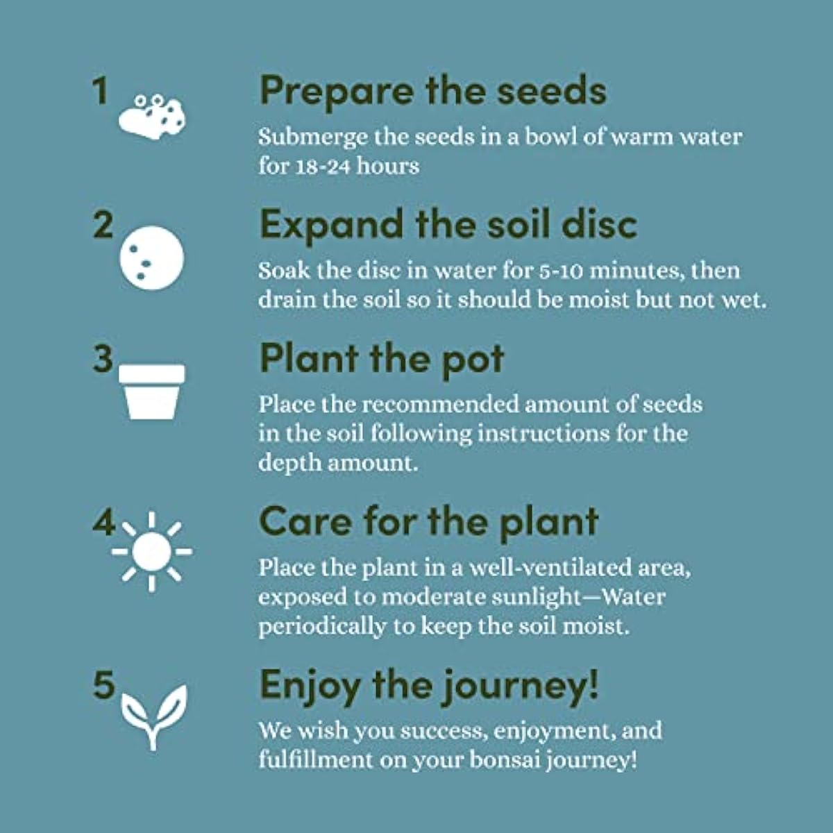 Bonsai Starter Kit - Gardening Easter Gift for Women & Men - Bonsai Tree Growing Garden Crafts Hobby Kits for Adults, Unique DIY Hobbies for Plant Lovers - Unusual Christmas Gifts Ideas