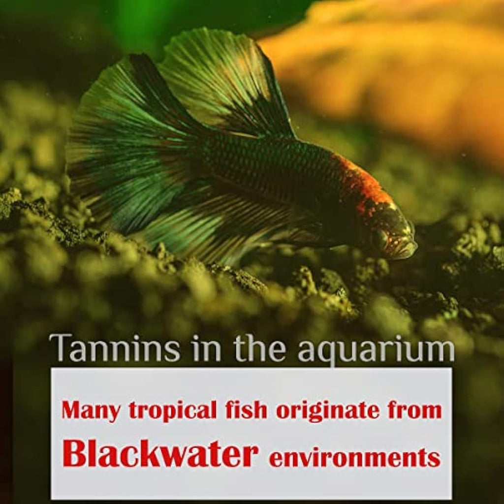 Premium Indian Almond Leave. Aquarium Decorations Size 6-9" Pack 50g(20-25 Leaves). Catappa Leaves Rich in Tannin. Superb to be Health Better, Vitality, Succesful Breeding! of Shrimp & Betta Fish Tank