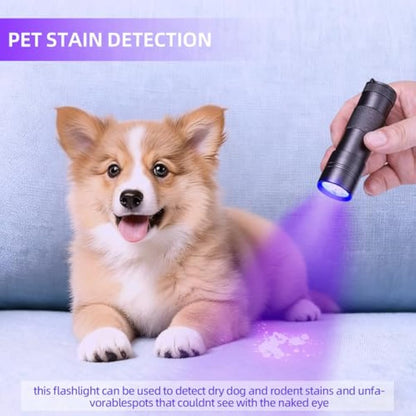 Blacklight Flashlight UV 12-LED Small Portable Mini for Hidden Stain Detection and Pet Urine
