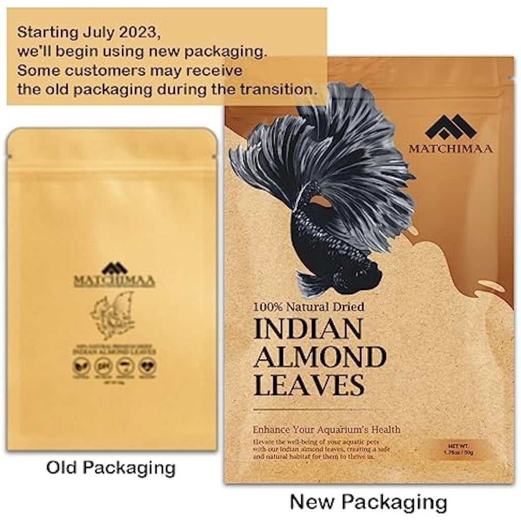 Premium Indian Almond Leave. Aquarium Decorations Size 6-9" Pack 50g(20-25 Leaves). Catappa Leaves Rich in Tannin. Superb to be Health Better, Vitality, Succesful Breeding! of Shrimp & Betta Fish Tank