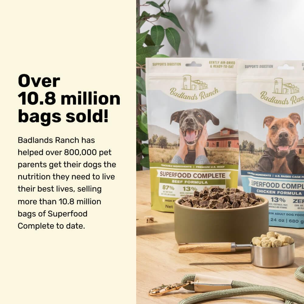 badlands ranch by katherine heigl superfood complete air-dried beef dog food high protein 24 oz