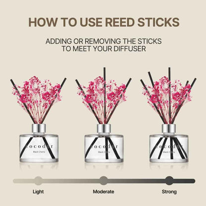 COCODOR Reed Diffuser Set with Preserved Baby's Breath with Sticks/April Breeze / 6.7oz / Scent Fragrance Oil Diffuser for Bedroom Bathroom Home Décor