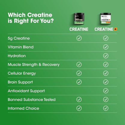Optimum Nutrition Micronized Creatine Monohydrate Powder, Unflavored, 60 Servings, 300 Grams (Packaging May Vary)