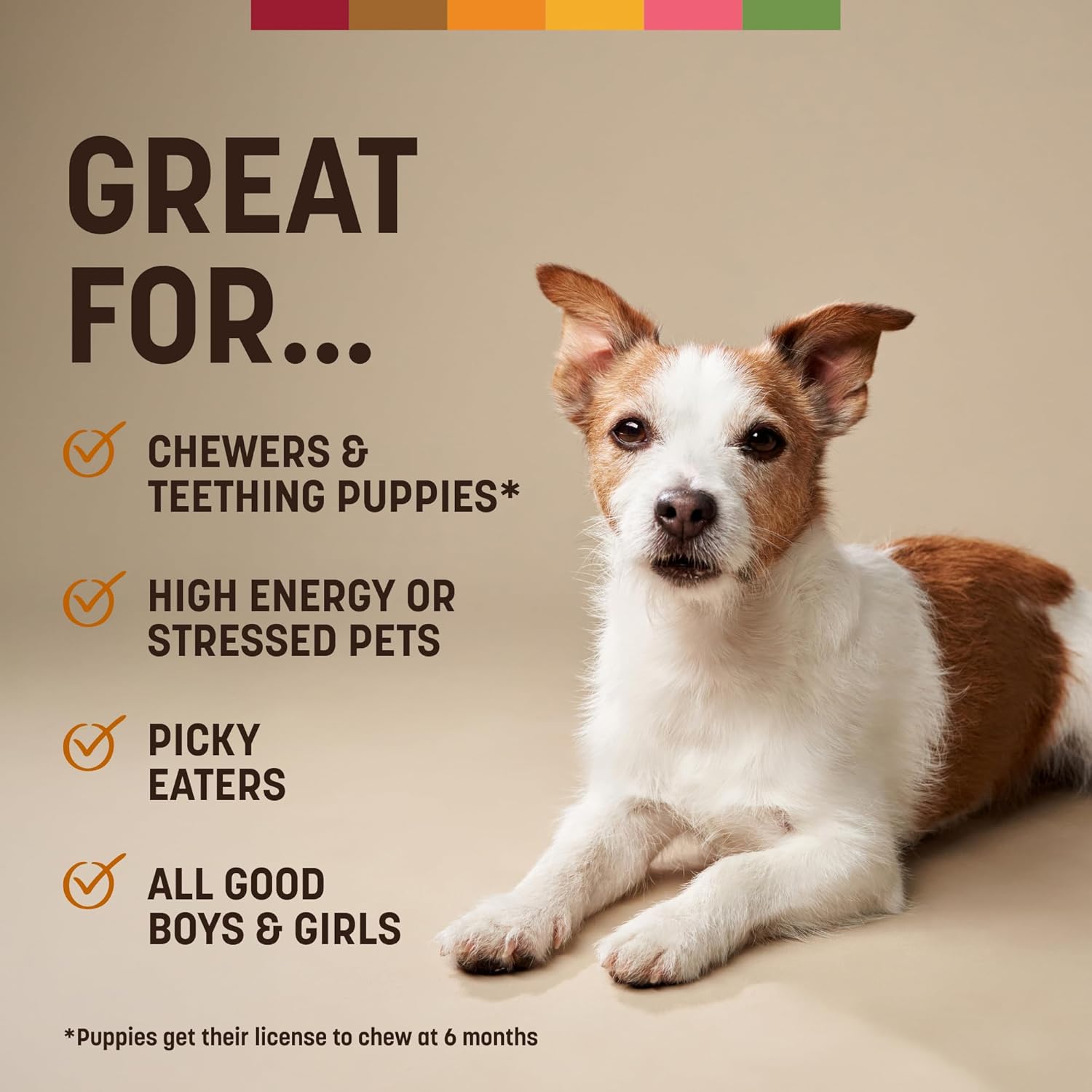 Earth Animal No Hide Chews for small dogs, 16-45 lbs, 6 count, chicken, rawhide free, long lasting