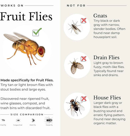 Wondercide - Fruit Fly Traps for Indoors - Fruit Fly Killer - Pet and People Safe - Made in USA & Plant Based - 5.4 oz - 2 Pack