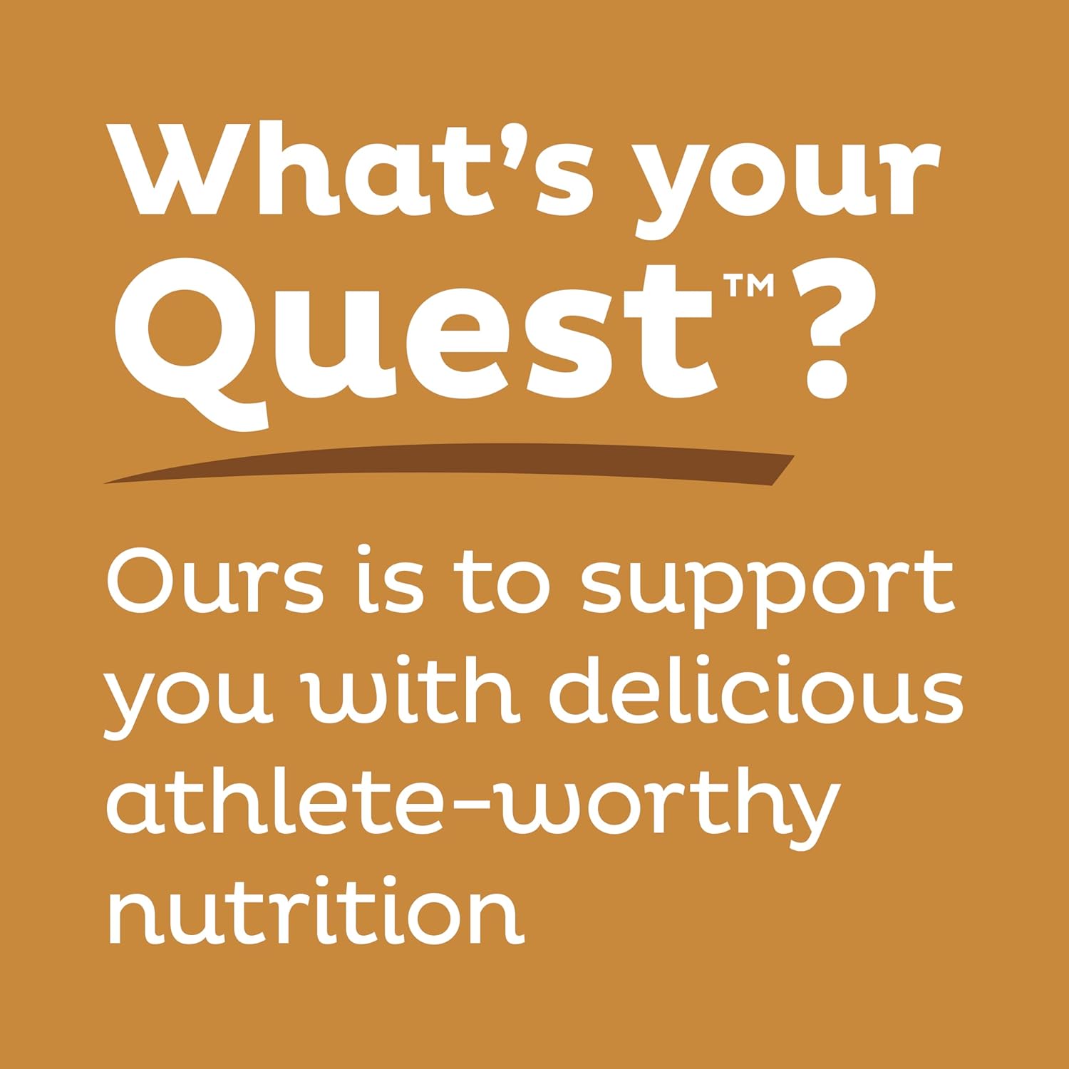 quest nutrition chocolate chip cookie dough protein bars 21g protein 1g sugar 4g net carb gluten free 12 count