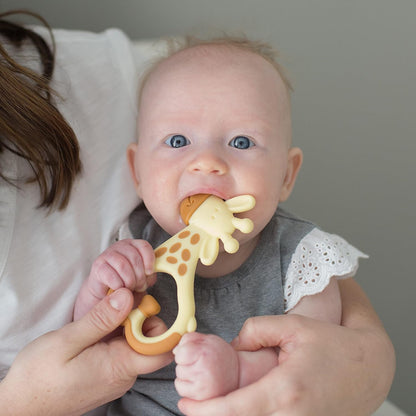 Dr. Brown's Ridgees Giraffe, Massaging Baby Teether, Designed by a Pediatric Dentist, BPA Free, 3m+