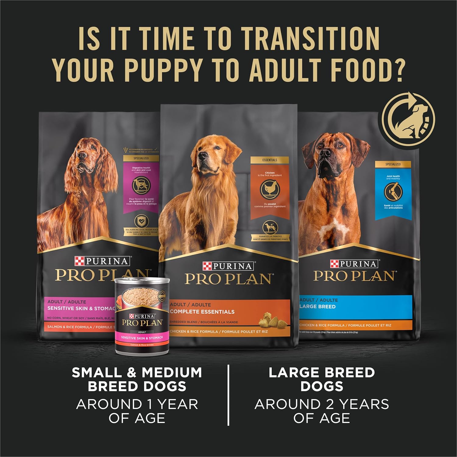 Purina Pro Plan High Protein Dry Puppy Food, Chicken and Rice Formula, 6 lb. Bag