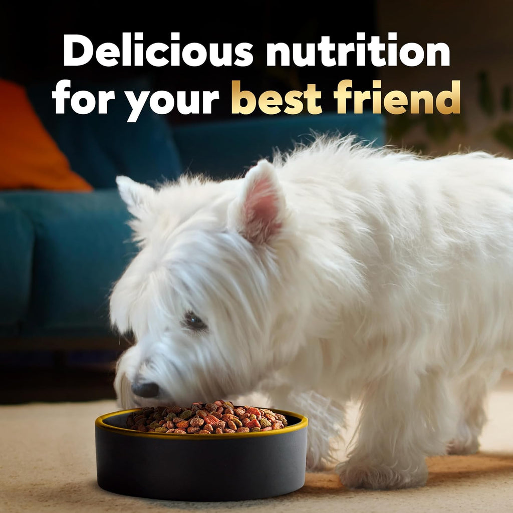 cesar small breed dry dog food filet mignon flavor 12 lb bag for small dogs