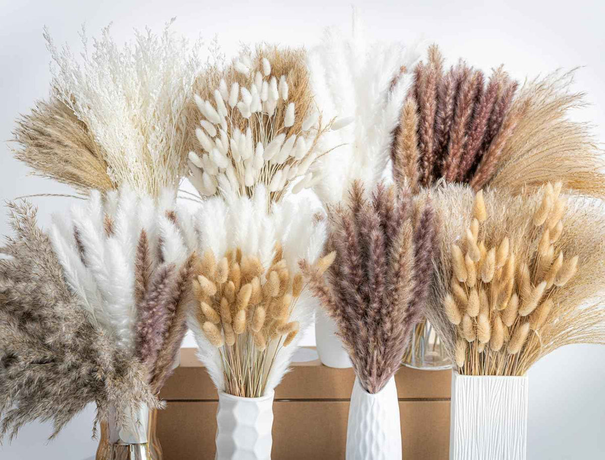 70PCS Natural Dried Pampas Grass Boho Home Decor Bouquet Phragmites Dried Flowers Bouquet for Wedding Floral Arrangements Home Decorations (70PCS)