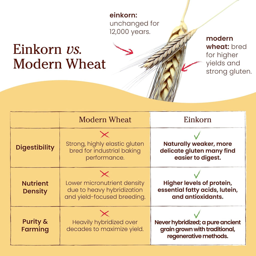 jovial organic einkorn unbleached all purpose flour for bread baking sourdough pizza pasta 32 oz