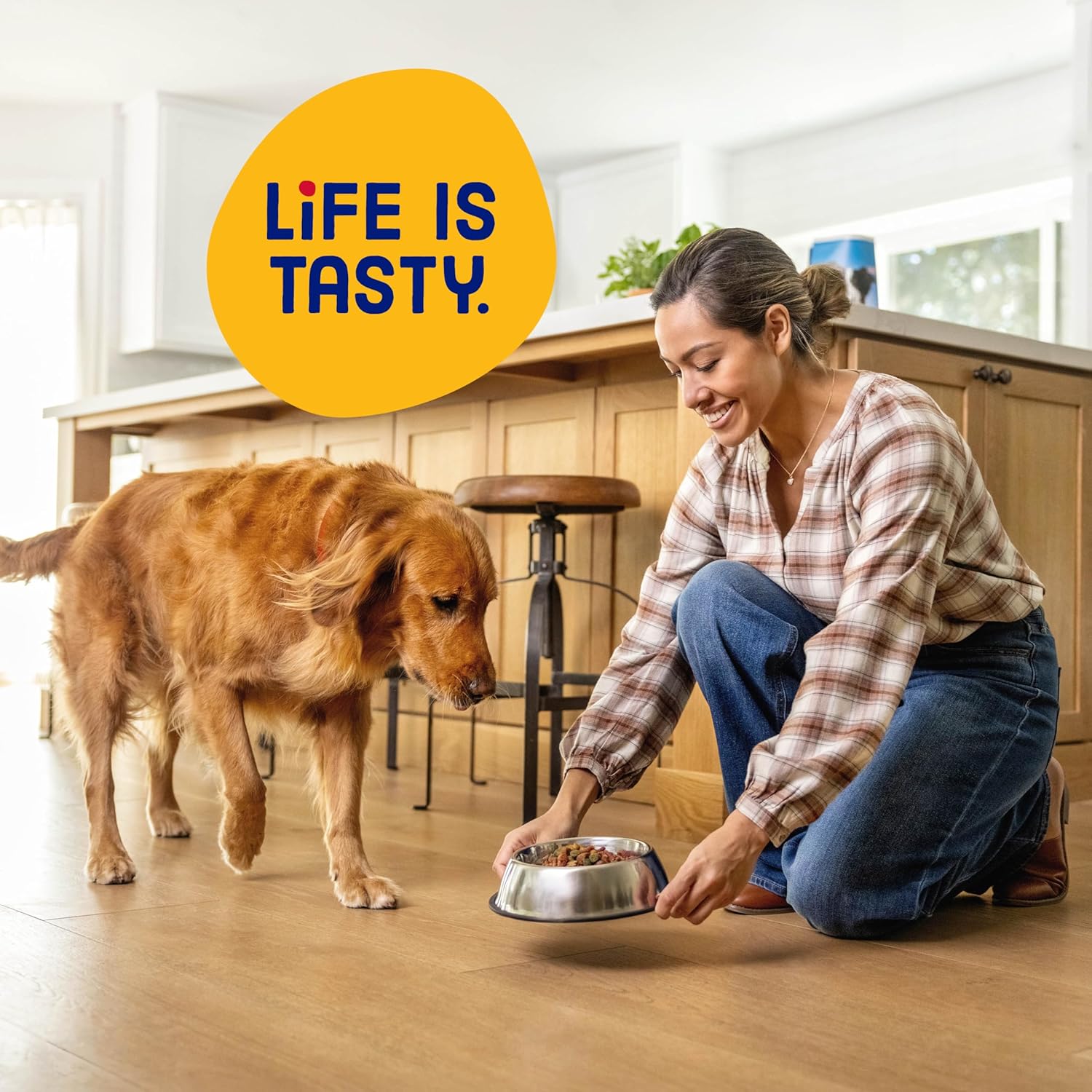 Kibbles 'n Bits 31 pound savory beef and chicken flavor dry dog food for adult dogs