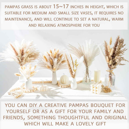 70PCS natural dried pampas grass boho home decor bouquet phragmites dried flowers bouquet
