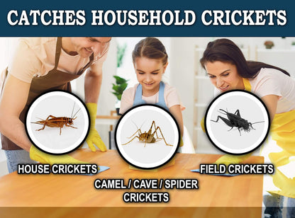 MaxGuard Extra Large Cricket Traps (8 Traps) | Non-Toxic Extra Sticky Glue Board Pre-Baited Cricket Attractant Trap & Kill House Crickets, Insects, Spiders, Bugs