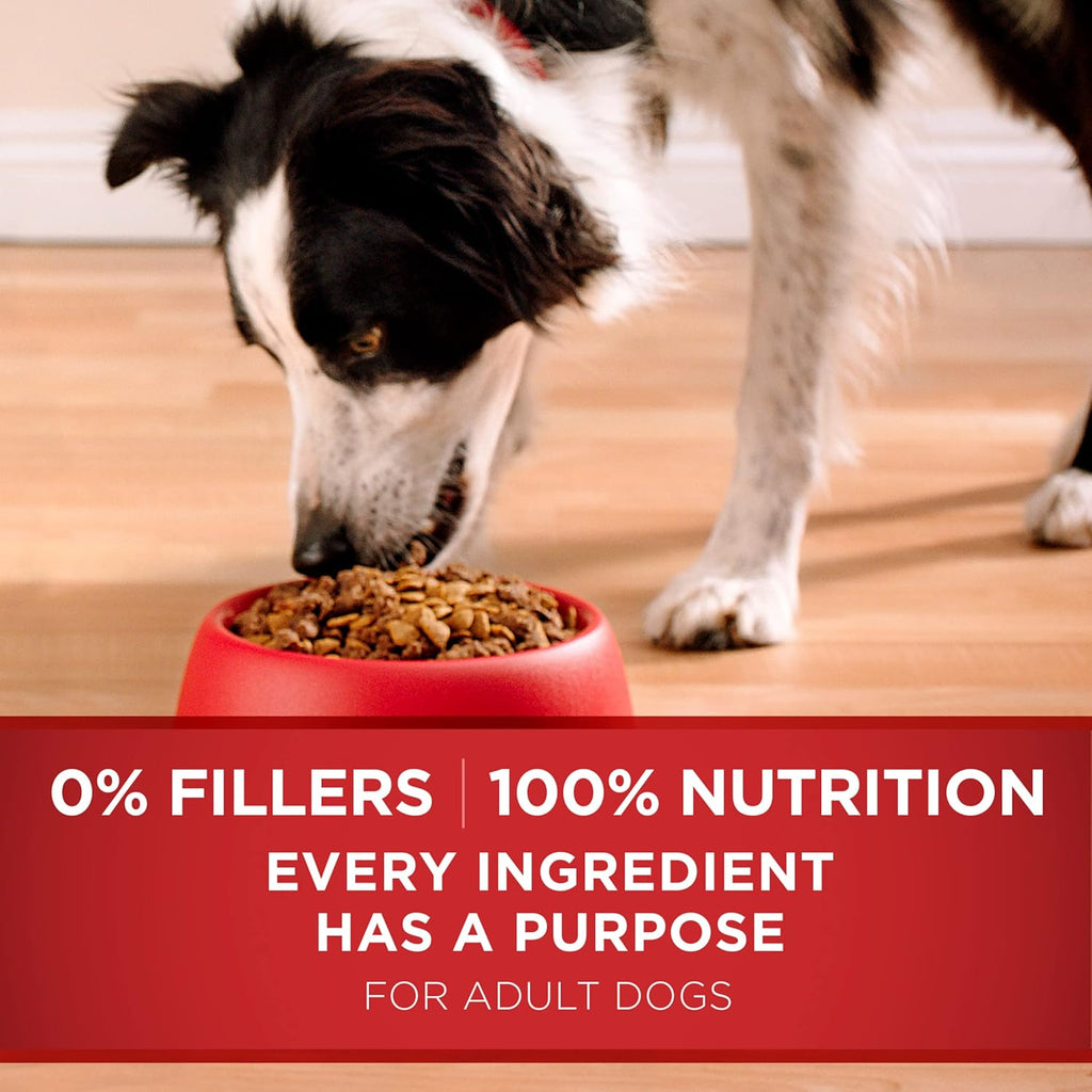 Purina ONE Lamb and Rice Dry Dog Food 16.5 lb Bag with Added Vitamins and Minerals