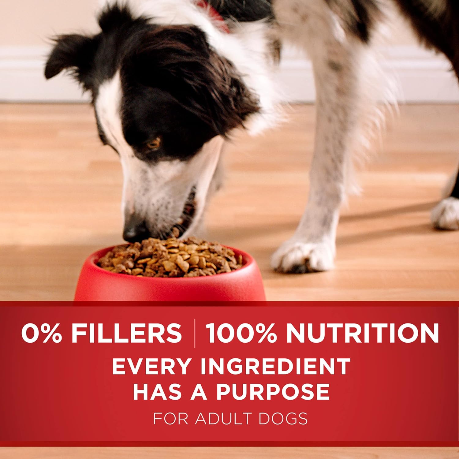 Purina ONE Lamb and Rice Dry Dog Food 16.5 lb Bag with Added Vitamins and Minerals
