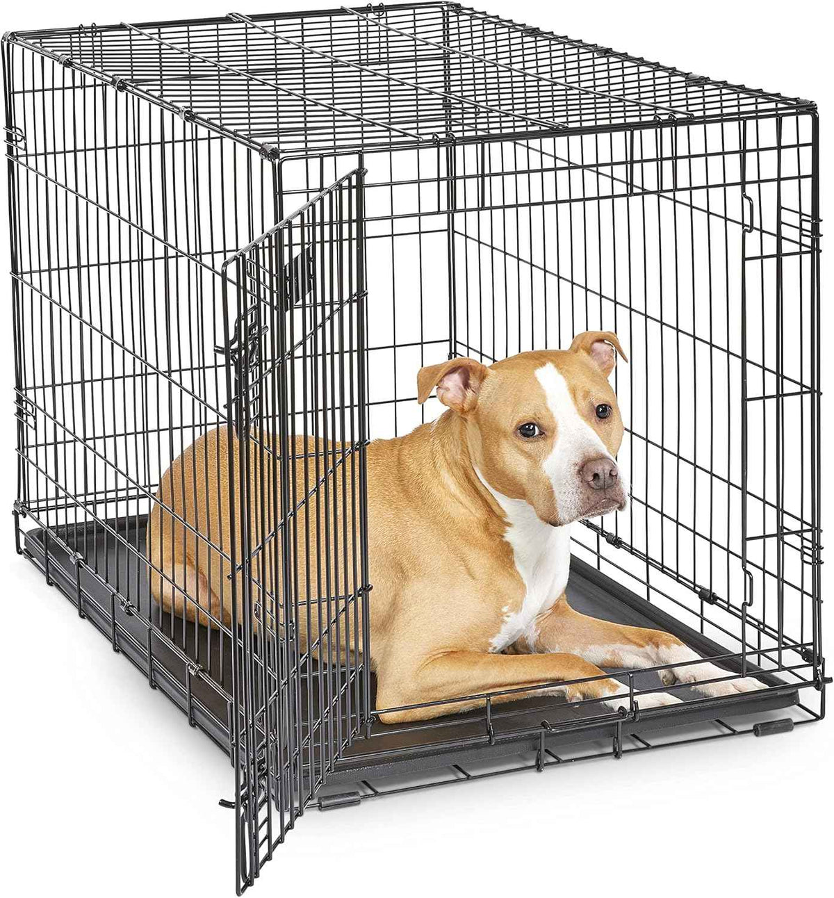 MidWest iCrate 36-inch metal wire dog crate with divider, leak-proof tray, and secure latches for medium large breeds