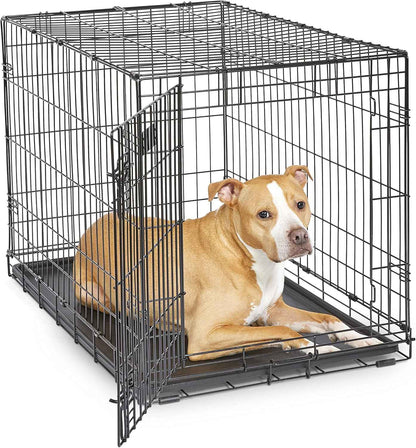MidWest iCrate 36-inch metal wire dog crate with divider, leak-proof tray, and secure latches for medium large breeds