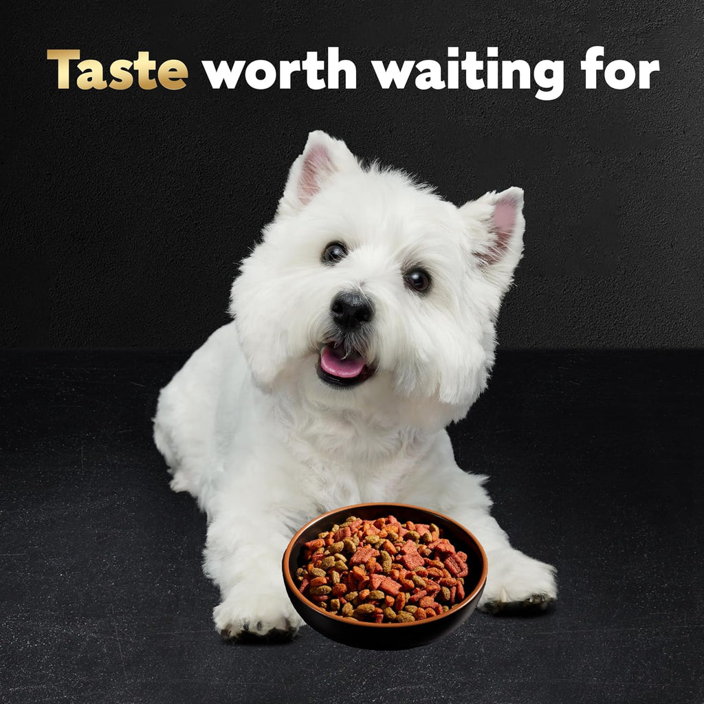 cesar small breed dry dog food filet mignon flavor 12 lb bag for small dogs
